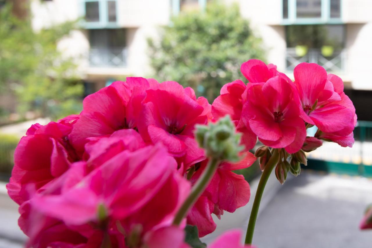 Boutique Apartment La Lavande Free Parking 10 Min Walk Nisa Exterior foto